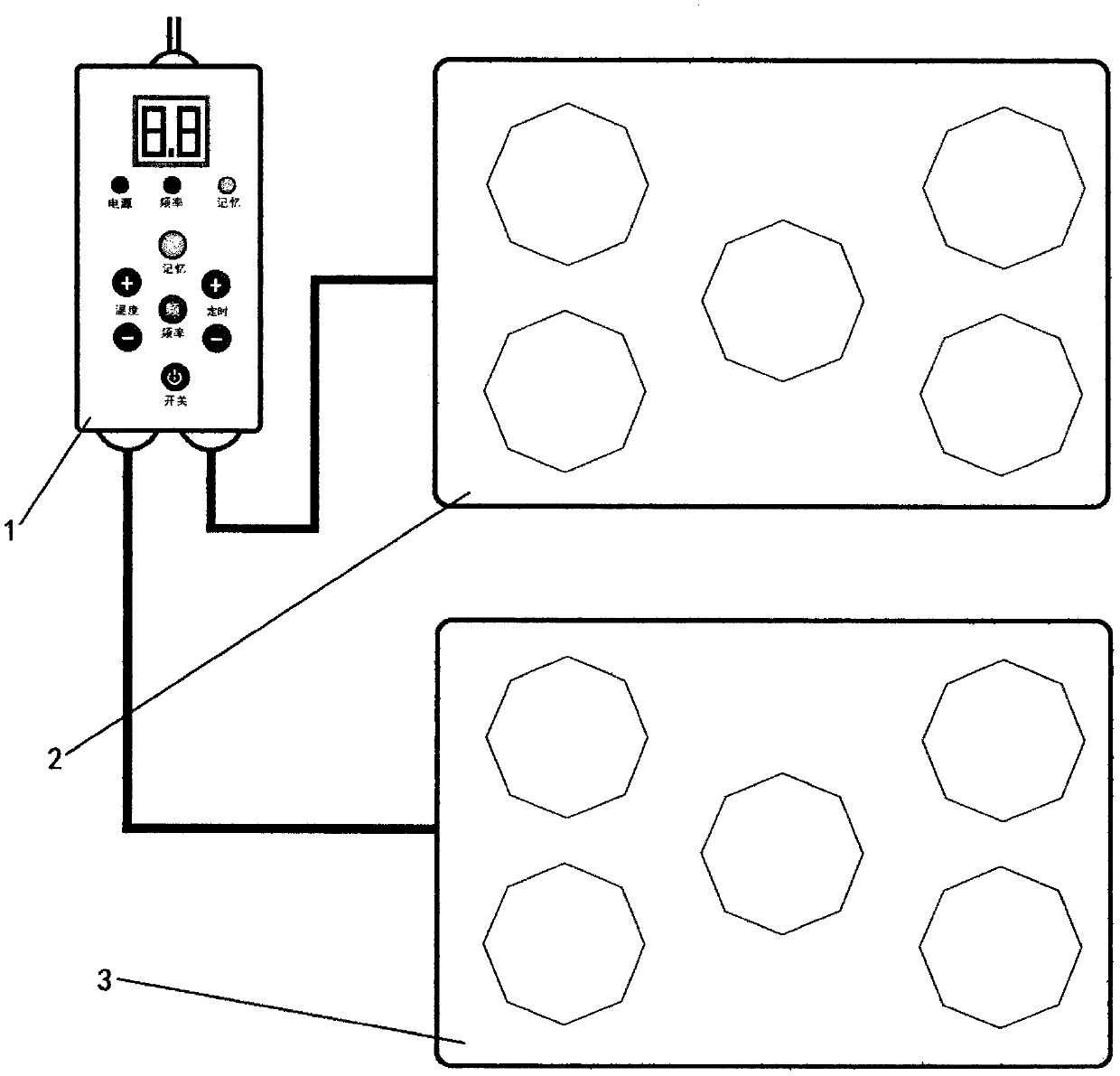 Micro-Hertz frequency-conversion energy therapeutic instrument