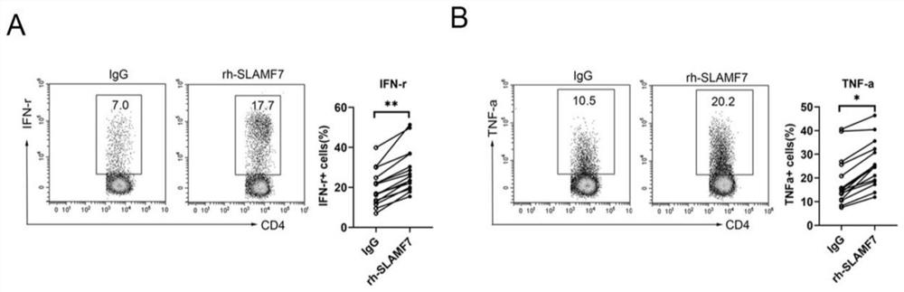 Application of SLAMF7 expressed CD4+T cell in preparation of tuberculosis diagnosis or treatment reagent