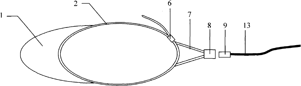 Preparation method of brain wave type anti-collision helmet belt