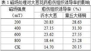 Induction medium for cultivating and breeding Allium fistulosum, and induction culture method