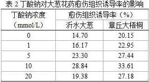 Induction medium for cultivating and breeding Allium fistulosum, and induction culture method