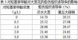 Induction medium for cultivating and breeding Allium fistulosum, and induction culture method