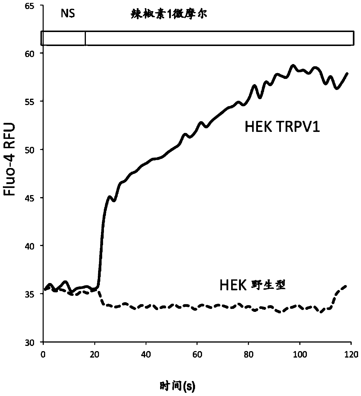 Myrcene-containing complex mixtures targeting trpv1