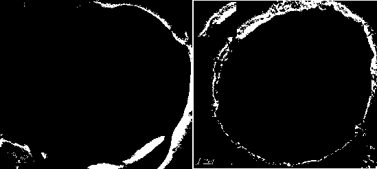 Yeast surface atom transfer imprinted adsorbent, and preparation method and application thereof