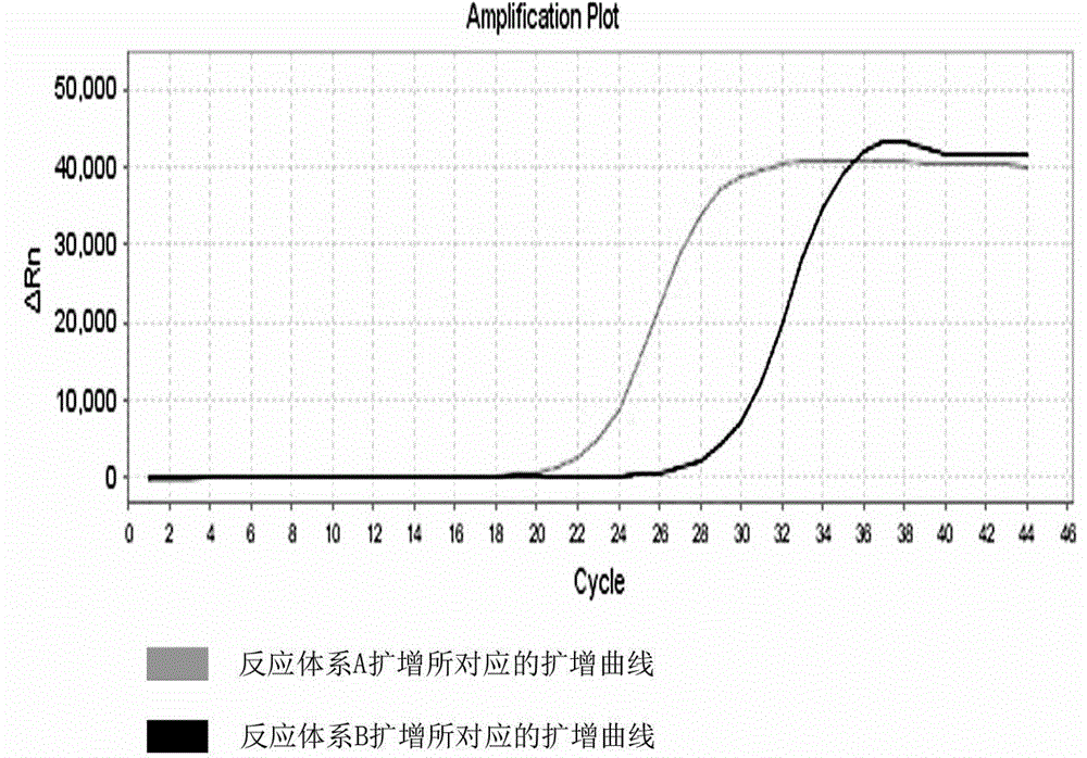 MTRR gene polymorphism detection primer system and reagent kit thereof