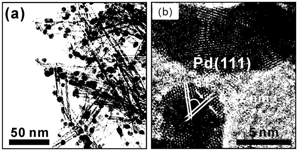 A low-energy chemical field-driven organic pollutant degradation catalyst and its application