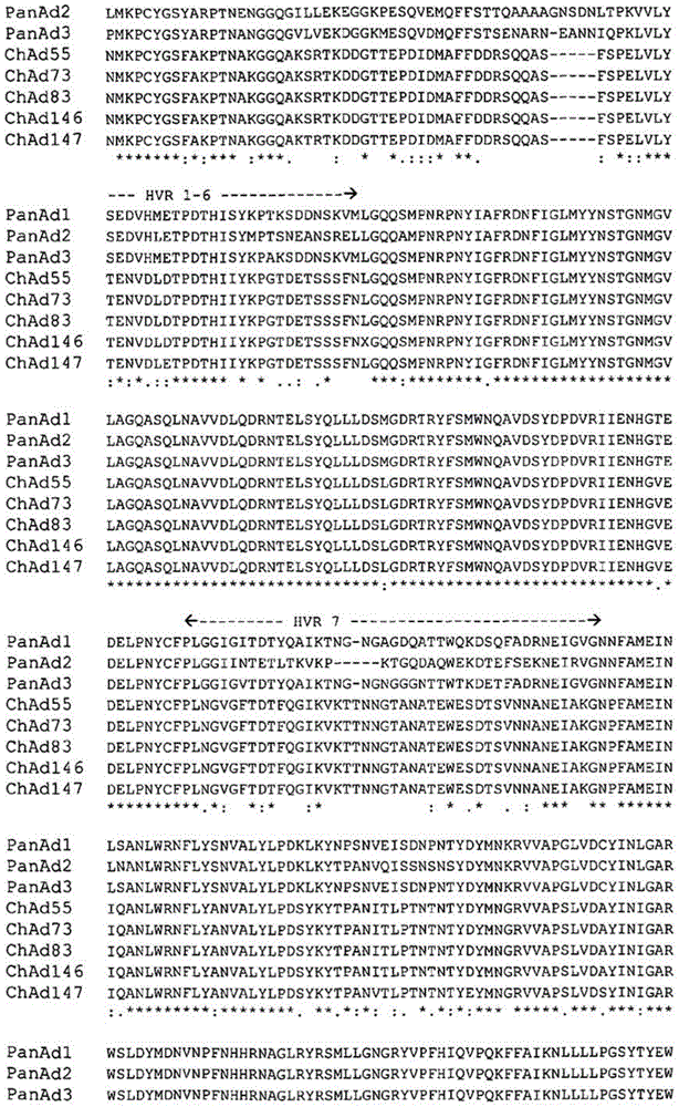 Simian adenovirus nucleic acid- and amino acid-sequences, vectors containing same, and uses thereof