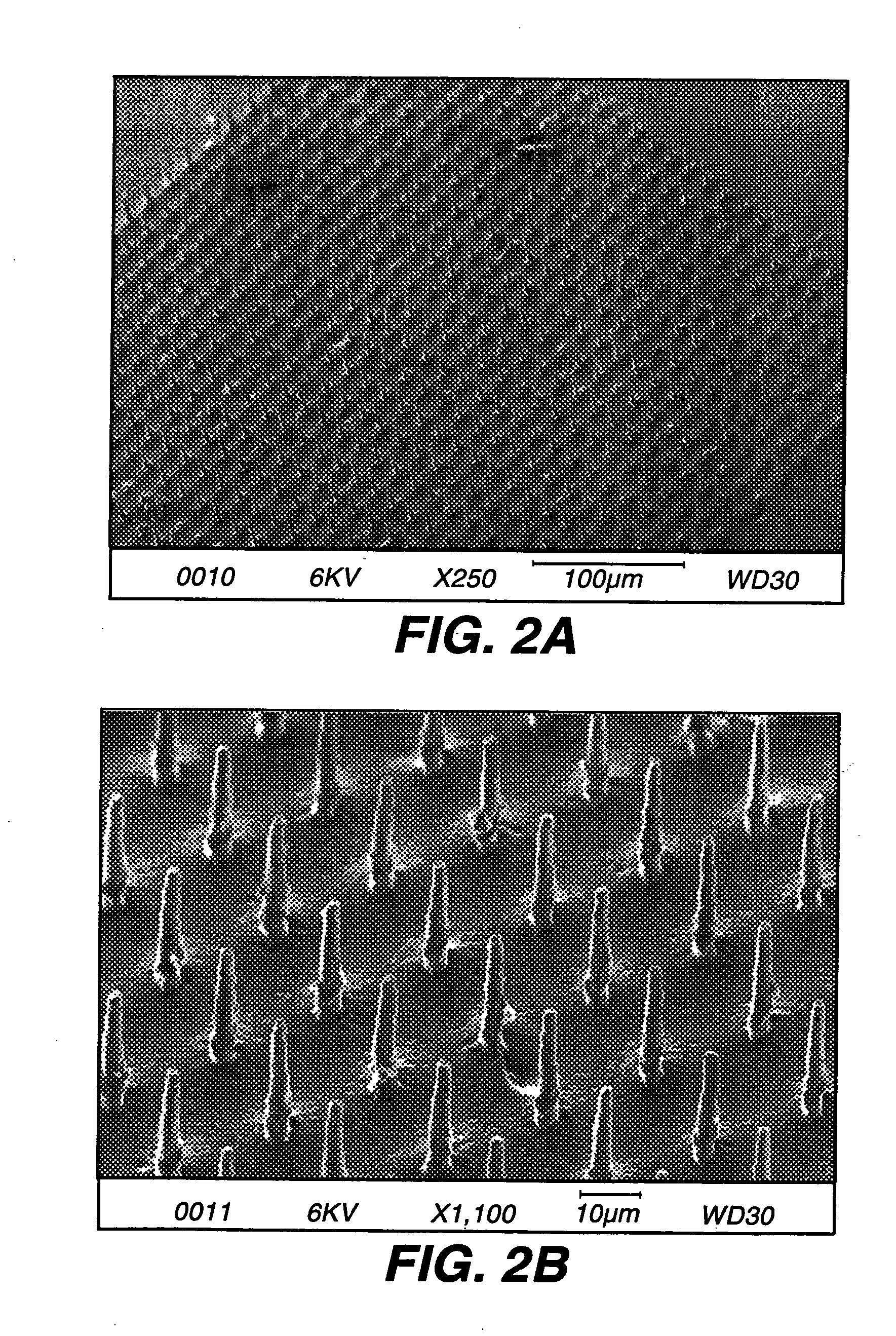 Microstructures and methods of fabricating