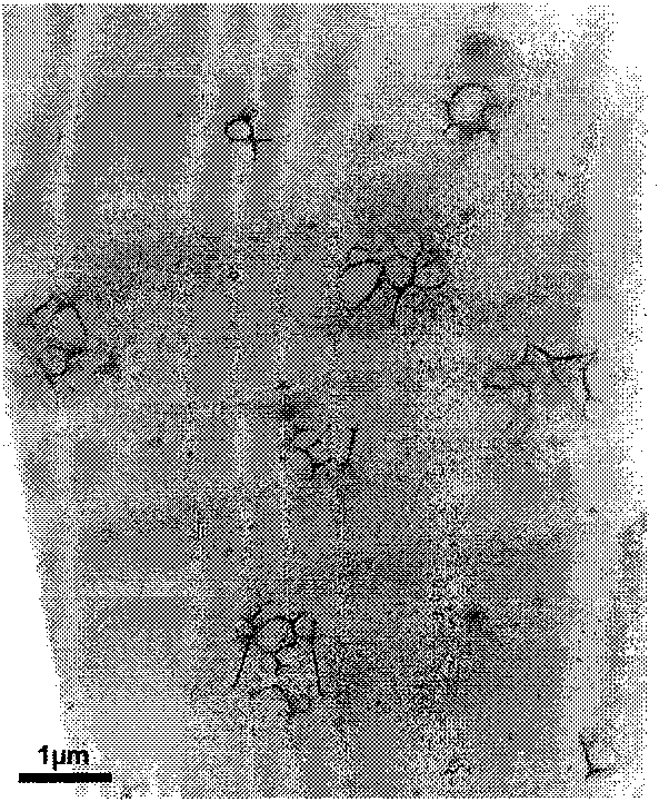 Silicone oil microcapsule with slow-release characteristics and preparation method thereof