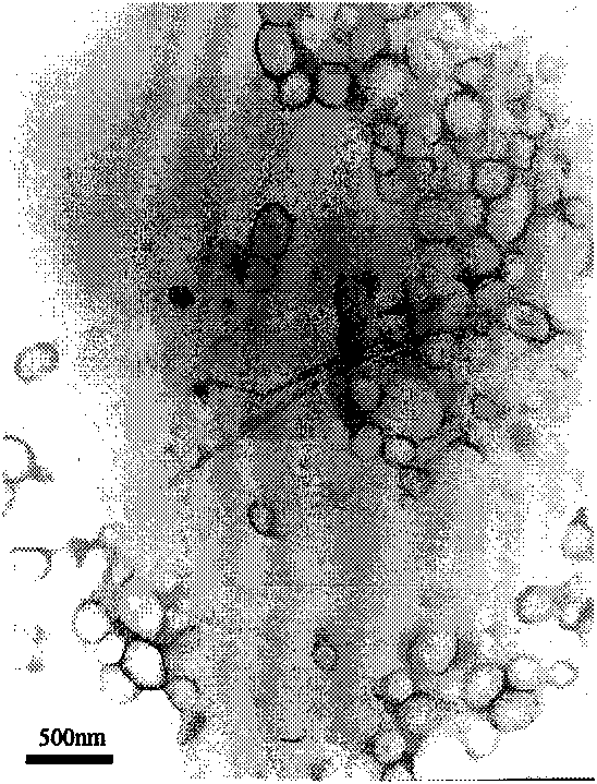 Silicone oil microcapsule with slow-release characteristics and preparation method thereof