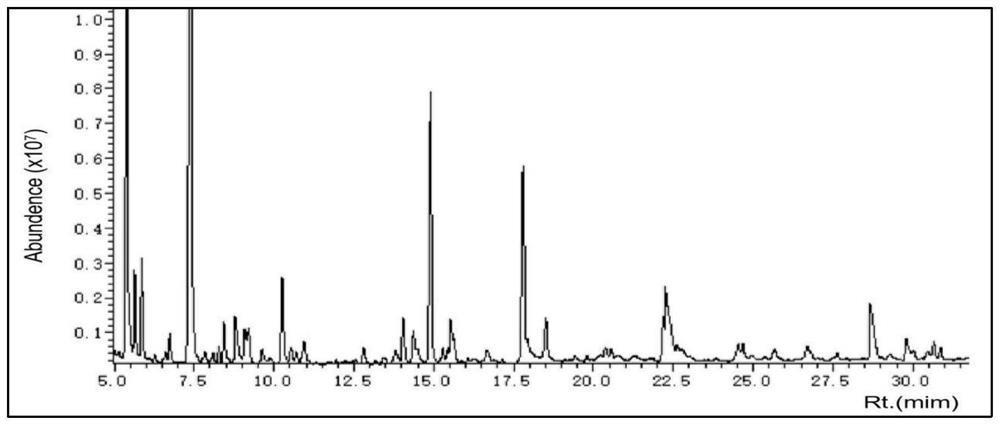 Attractant for schizophrassica juncea, lure and preparation method of lure for schizophrassica juncea