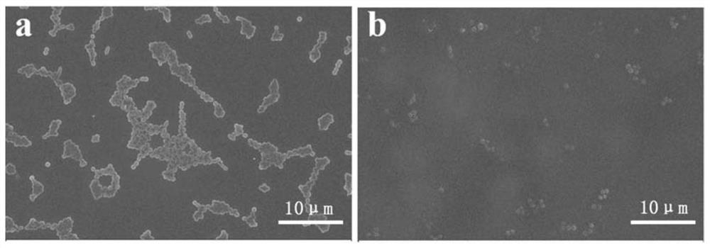 A kind of preparation method of fluorine-containing polyacrylic acid copolymer antibacterial composite material and obtained product and application