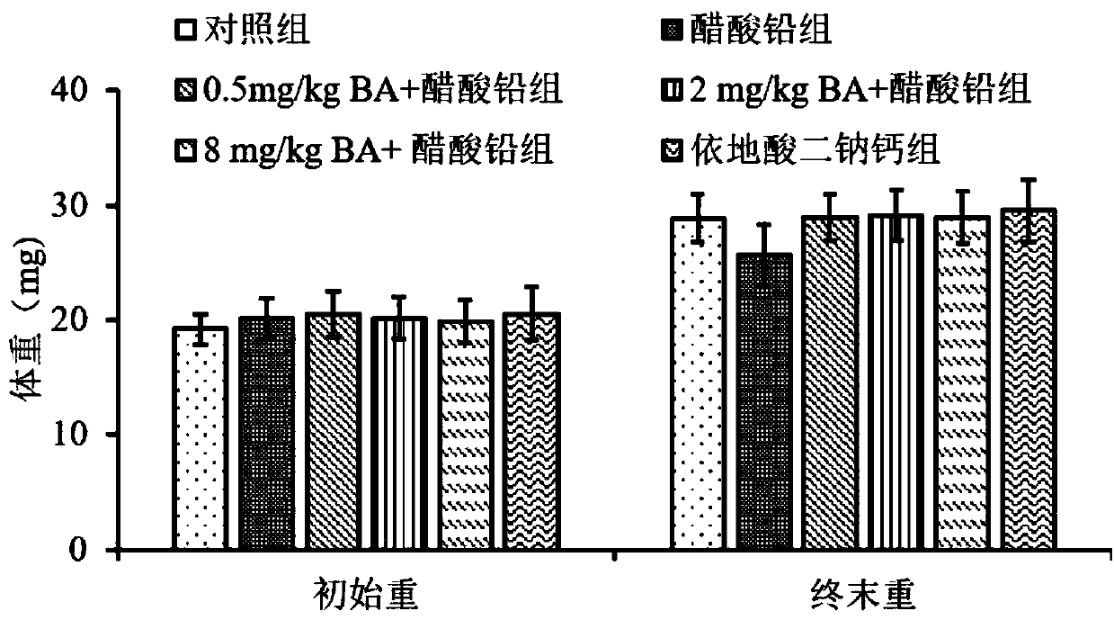 Application of betulinic acid to excretion of lead from organism and preparation of lead excretion food, health care product and medicament