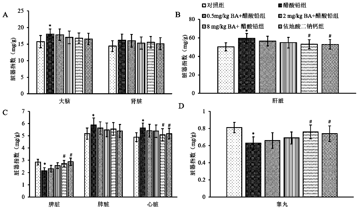 Application of betulinic acid to excretion of lead from organism and preparation of lead excretion food, health care product and medicament