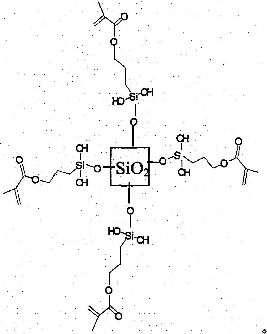 Copolymers of nanoparticles, vinyl monomers and silicone