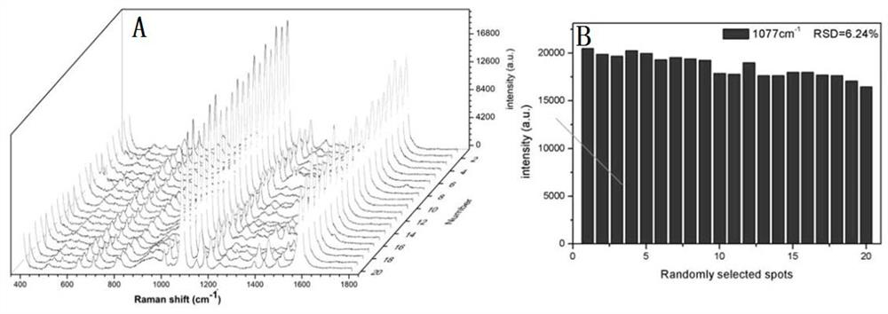 Flexible film-like material for SERS detection and preparation method of flexible film-like material