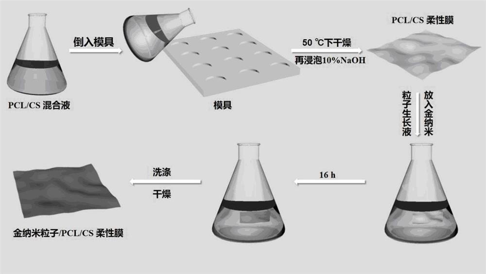 Flexible film-like material for SERS detection and preparation method of flexible film-like material