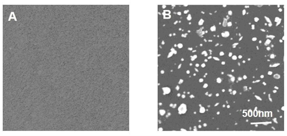 Flexible film-like material for SERS detection and preparation method of flexible film-like material