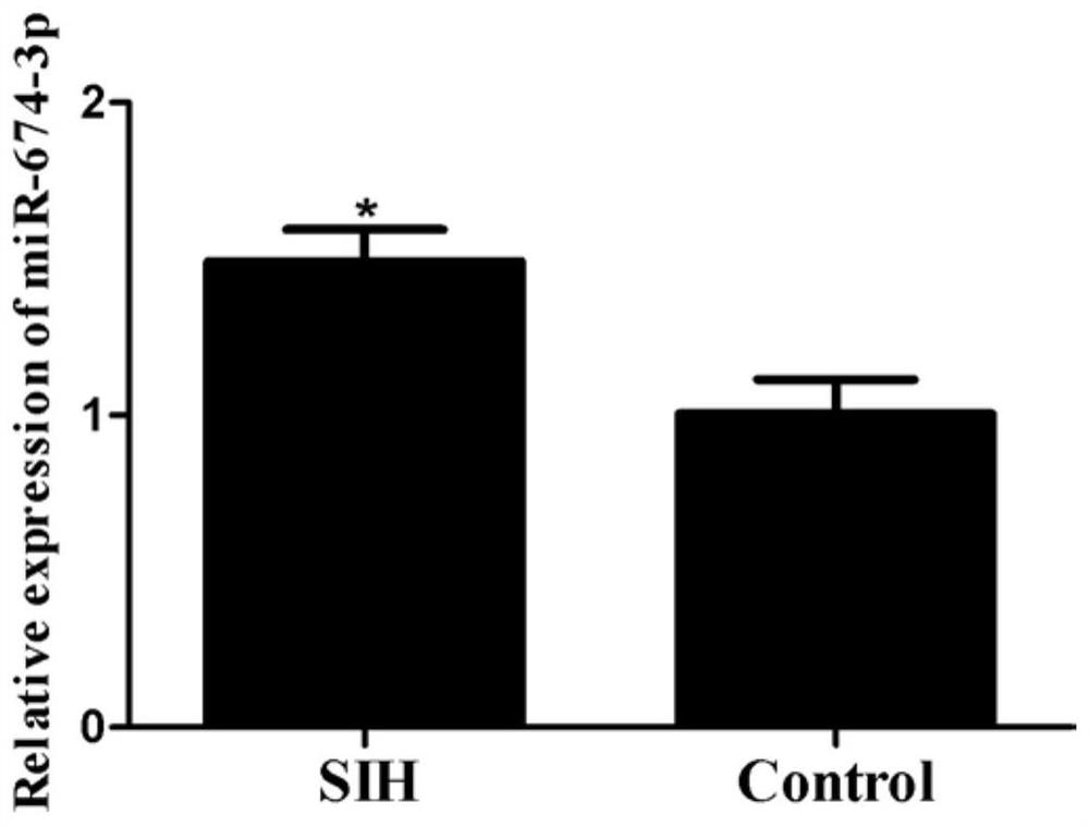 Application of a kind of mir-674-3p in the preparation of drugs for preventing or treating stress-induced hypertension