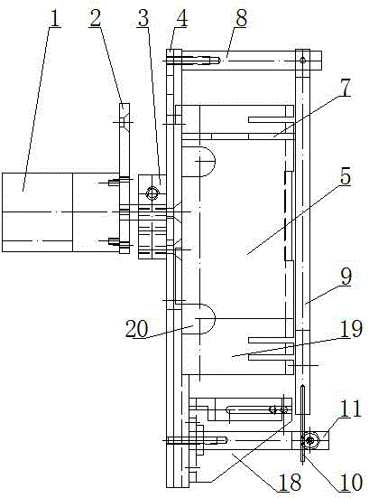 Rotary fixer for detecting murine toe swelling