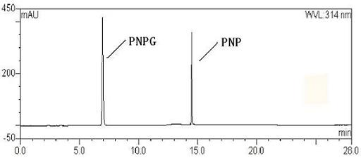 Screening method and application of alpha-glucosidase inhibitor