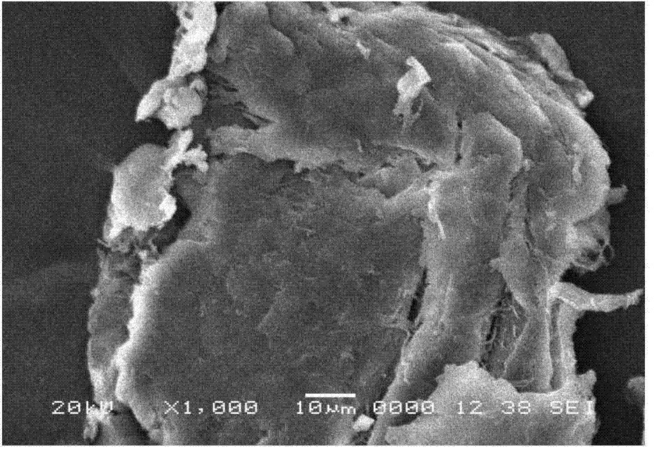 Preparation method of cadmium removal agent of thiolated chitosan microsphere