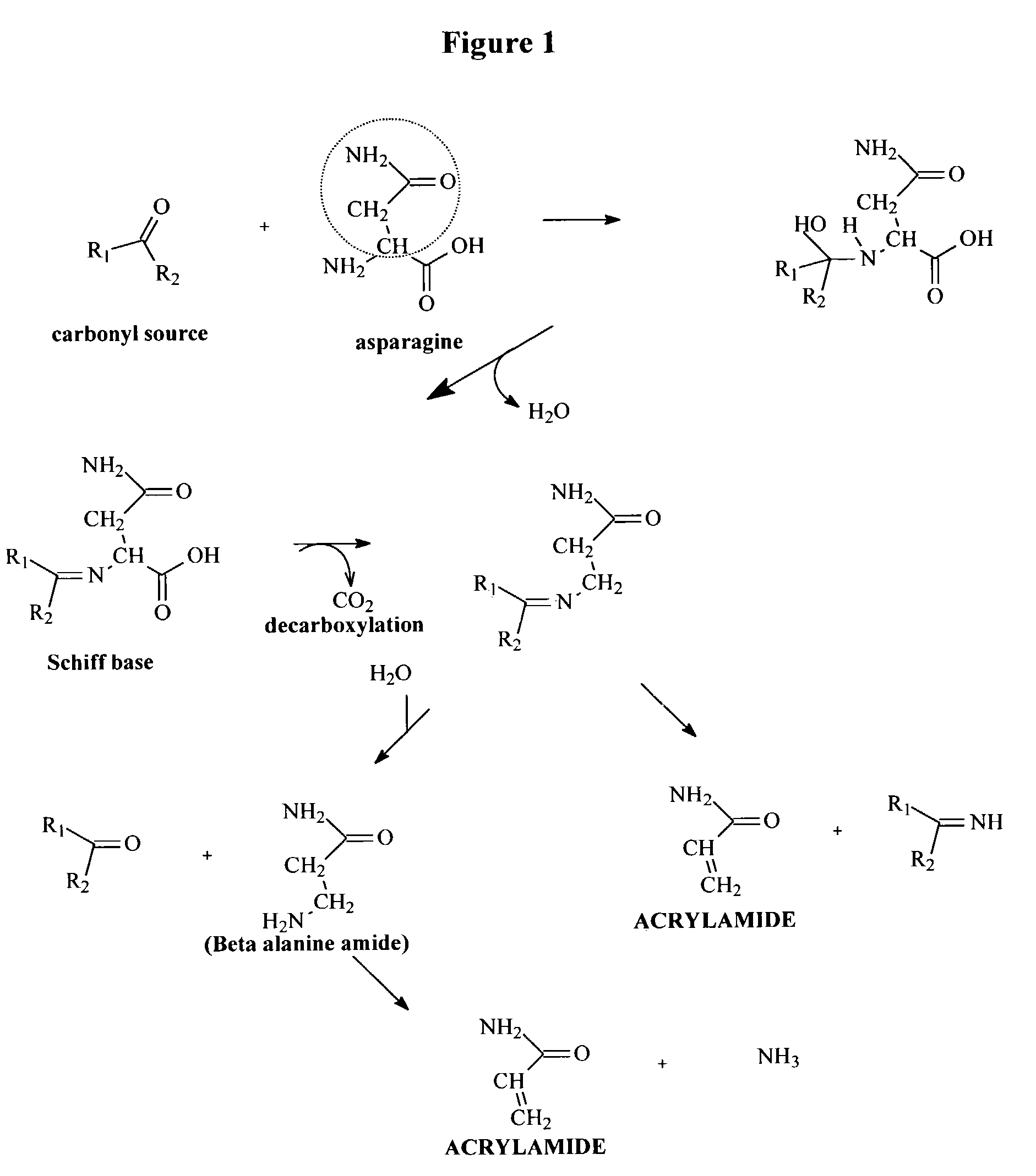 Method for reduction of acrylamide in cocoa products, cocoa products having reduced levels of acrylamide, and article of commerce