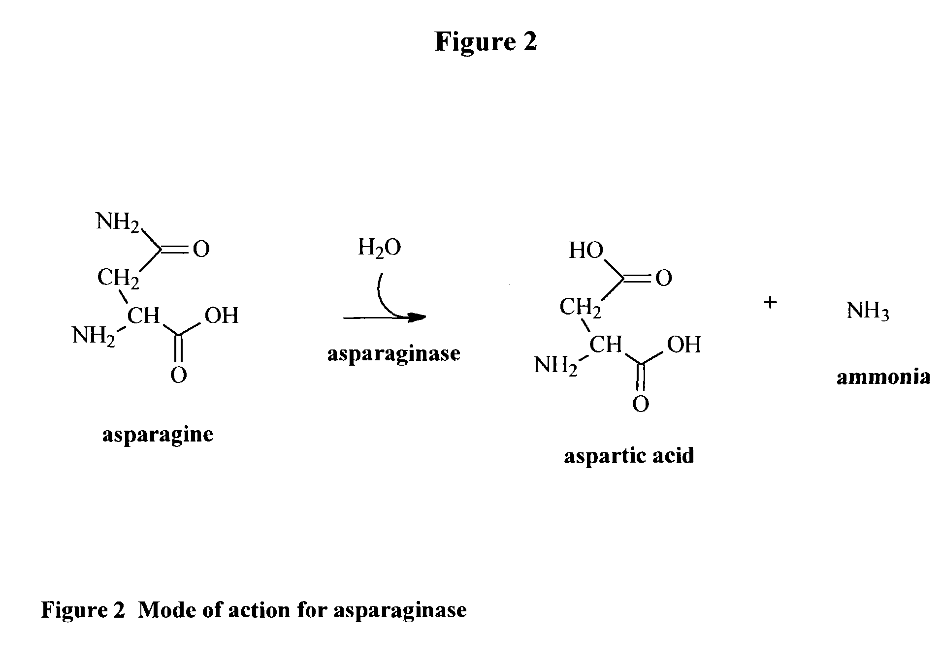 Method for reduction of acrylamide in cocoa products, cocoa products having reduced levels of acrylamide, and article of commerce