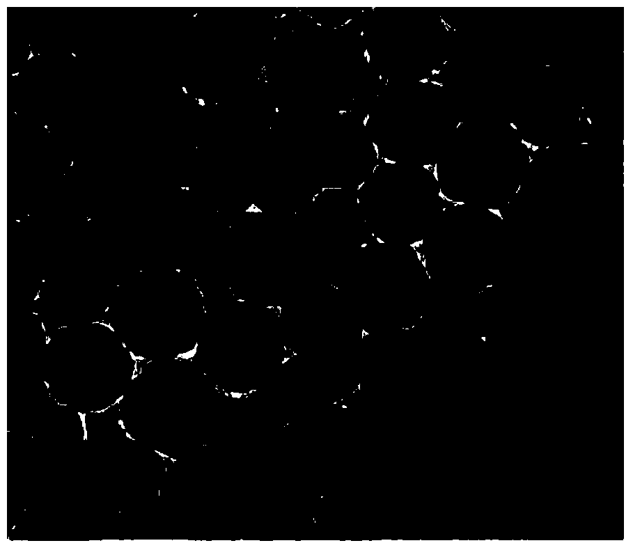 Method for preparing double-shell CoO/Co3O4 hollow nanoparticles