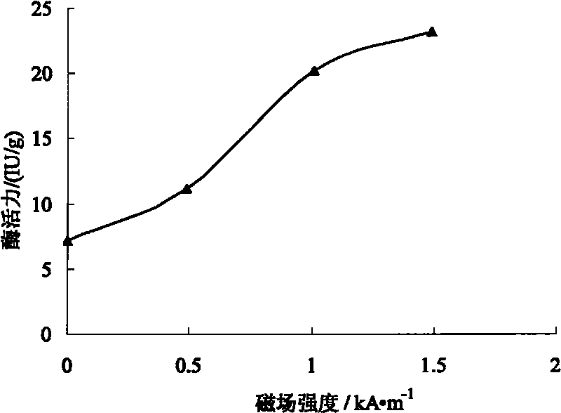 Method for improving enzymatic activity and utilization rate of immobilized enzymes in pulsed magnetic filed three-phase fluidized bed