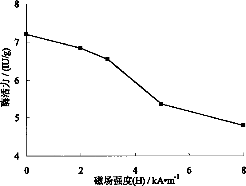 Method for improving enzymatic activity and utilization rate of immobilized enzymes in pulsed magnetic filed three-phase fluidized bed