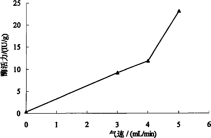 Method for improving enzymatic activity and utilization rate of immobilized enzymes in pulsed magnetic filed three-phase fluidized bed