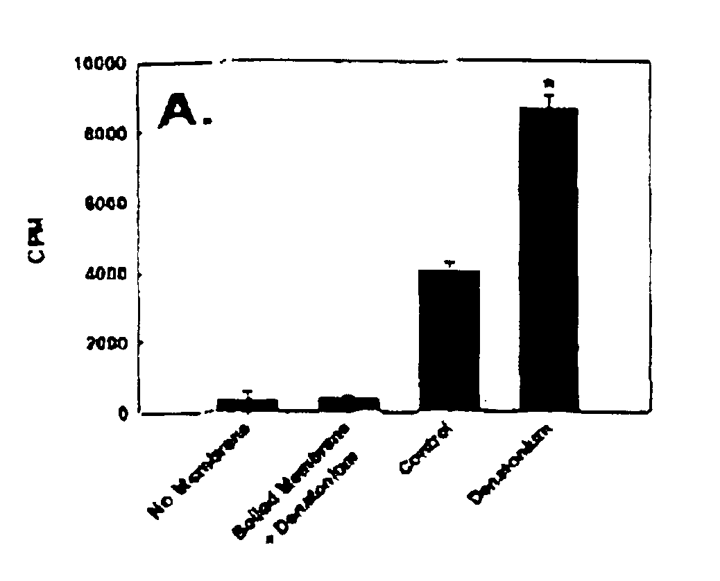 Nucleotide compounds that block the bitter taste of oral compositions