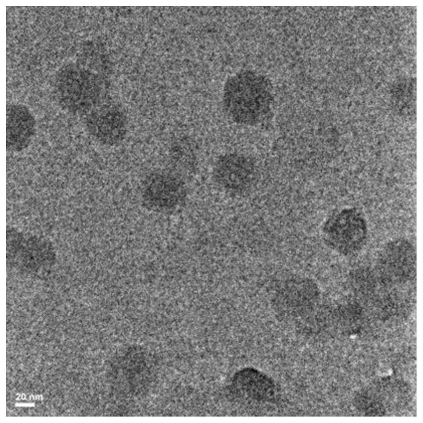 Melanin/ce6 photodynamic nano tumor drug with enhanced light absorption and its preparation and application