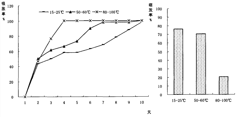 Piptanthus nepalensis seed preservation and seedling raising methods