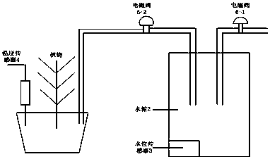 Plant irrigation device