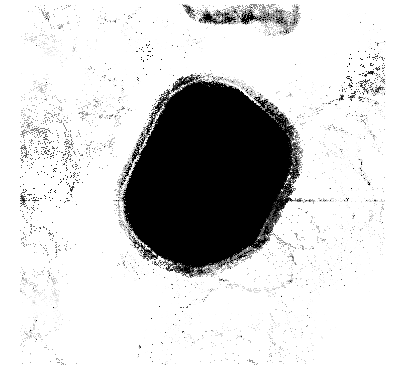 Core-shell composite anode material for lithium ion battery and preparation method thereof