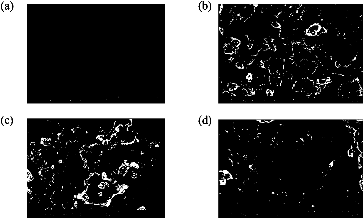 Method for treating tetracycline and ciprofloxacin single and compound polluted water by using modified graphene oxide