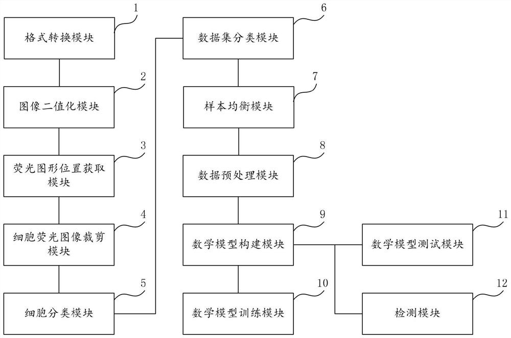 Cell fluorescence image discrimination method and system