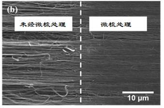 Device and method for preparing highly oriented carbon nanotube film or fiber and its microcomb method