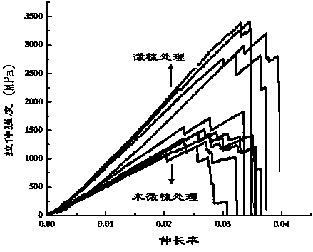 Device and method for preparing highly oriented carbon nanotube film or fiber and its microcomb method