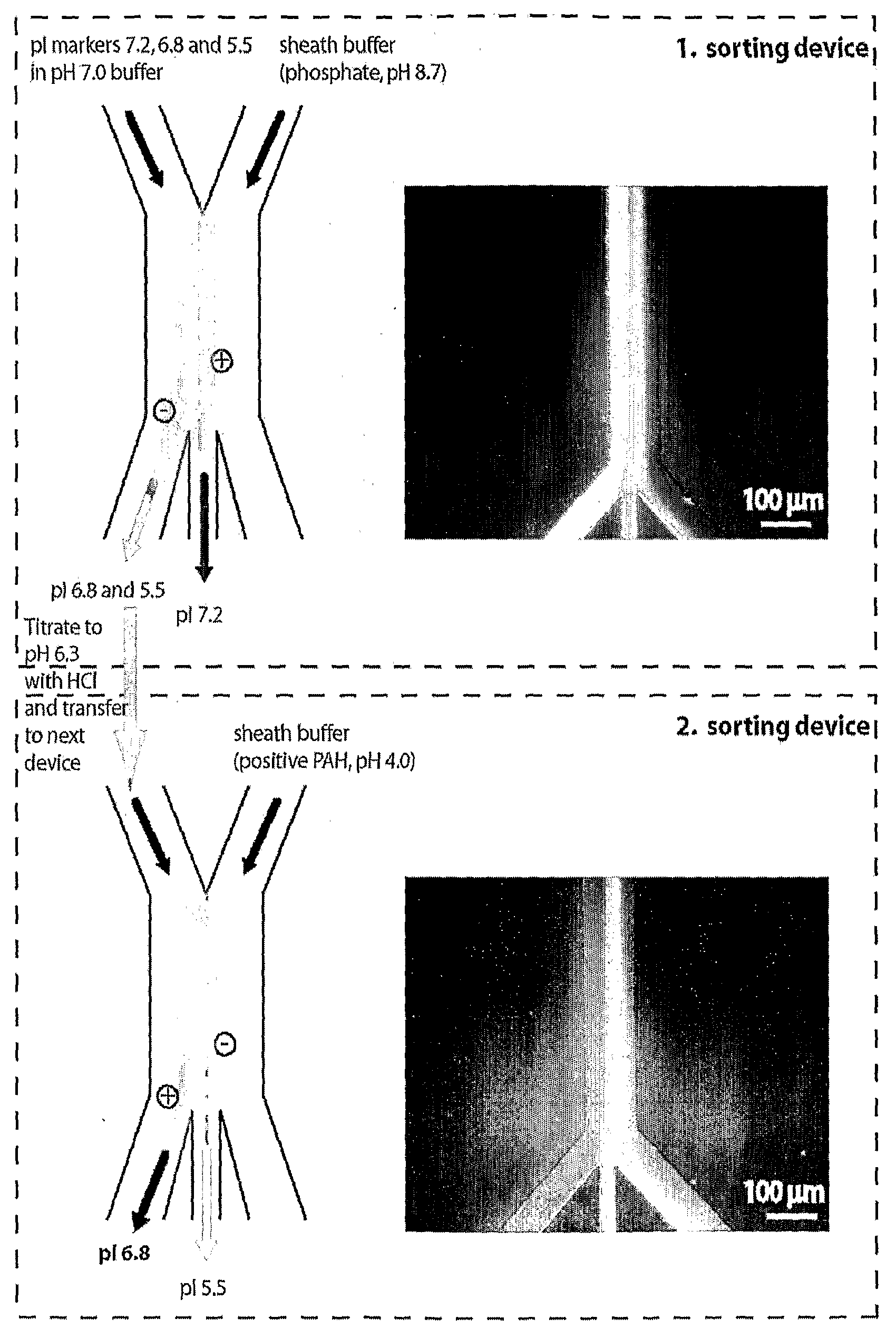 Microfluidic pl-based molecular sorting