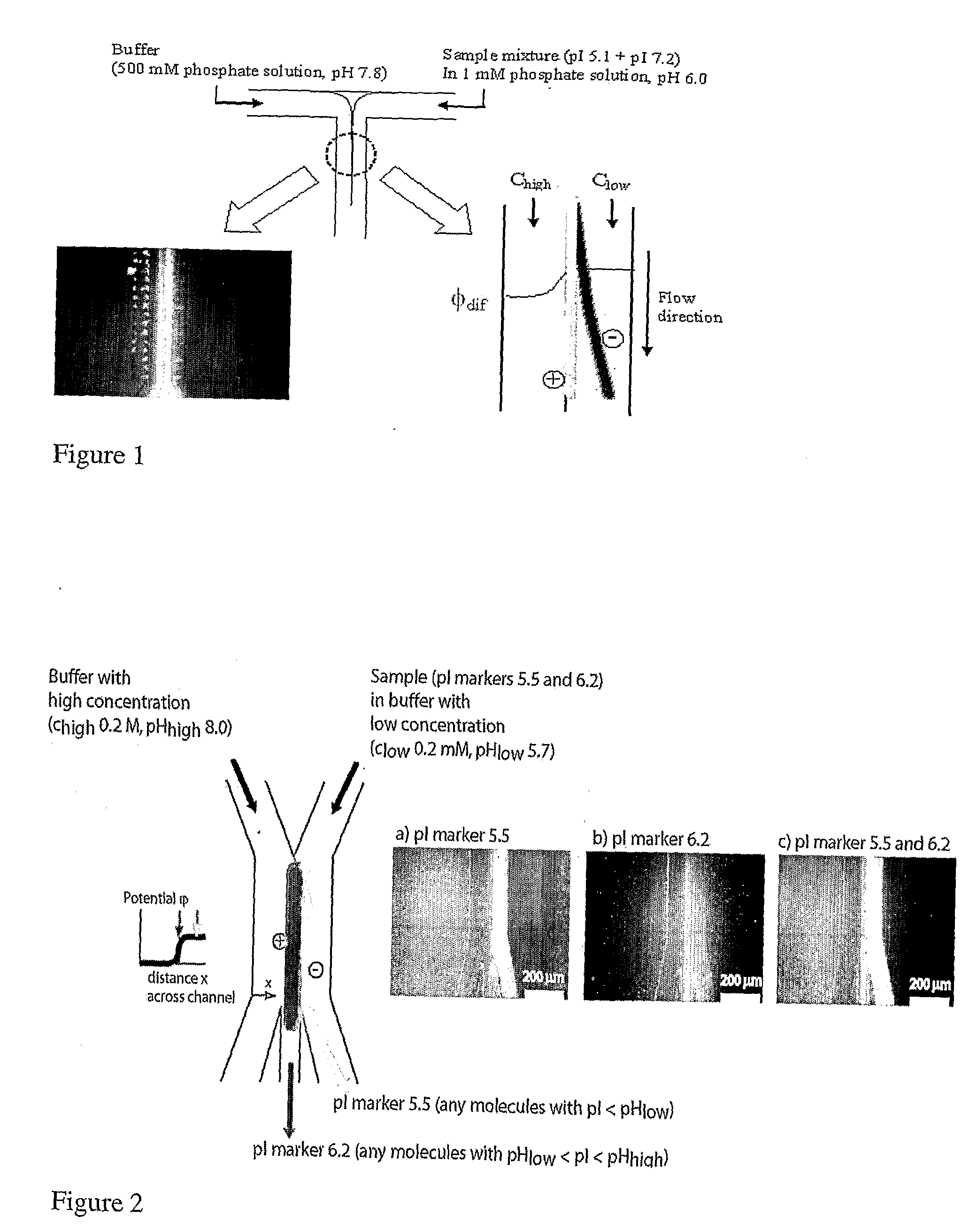 Microfluidic pl-based molecular sorting