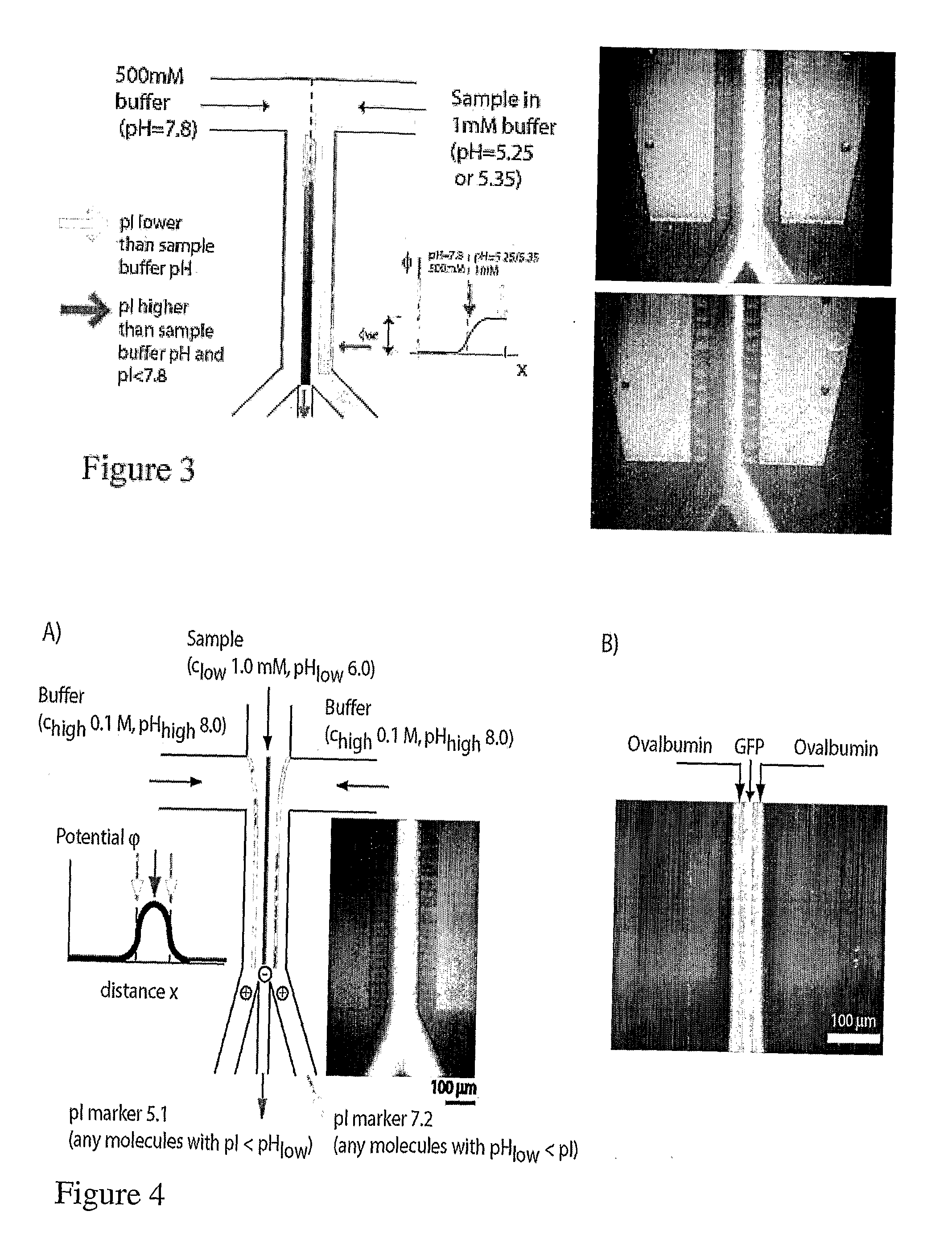 Microfluidic pl-based molecular sorting