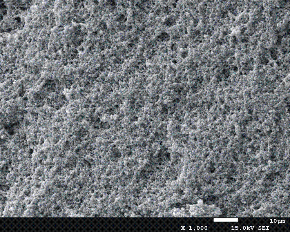 Probiotics-containing egg pudding and preparation method thereof