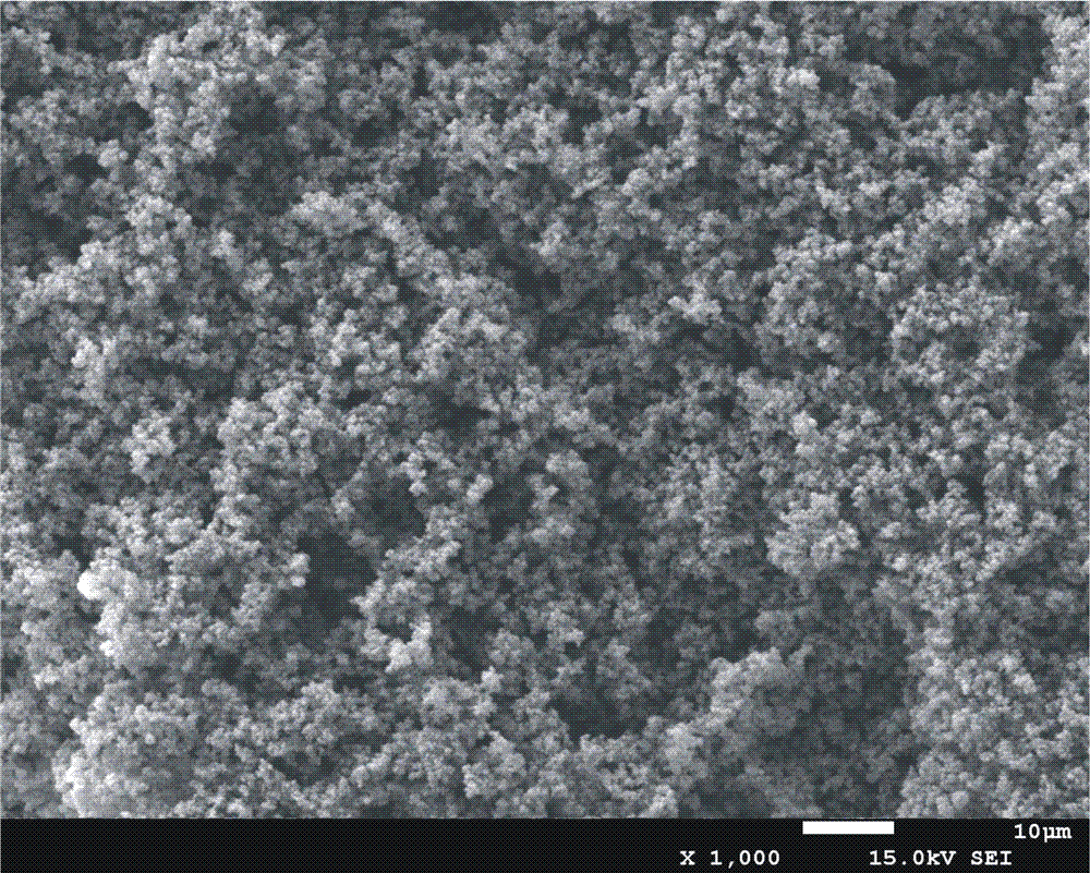 Probiotics-containing egg pudding and preparation method thereof