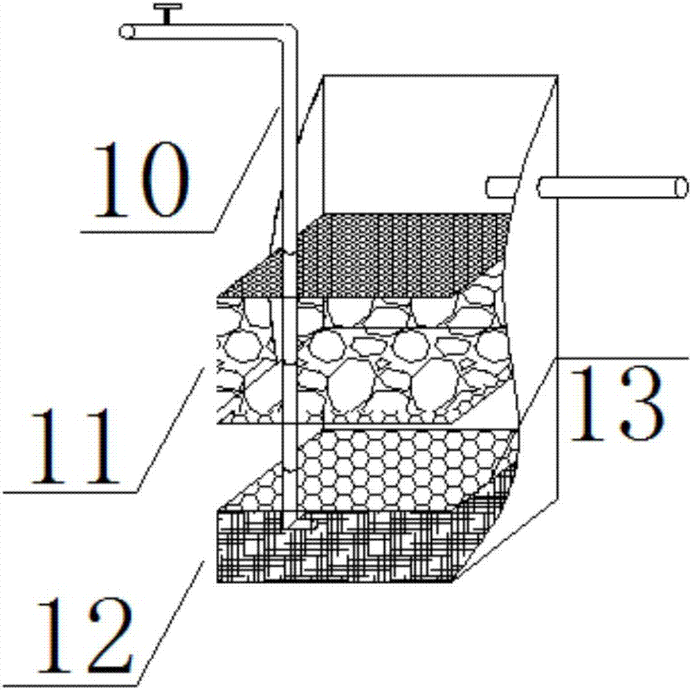 Purification apparatus for domestic sewage