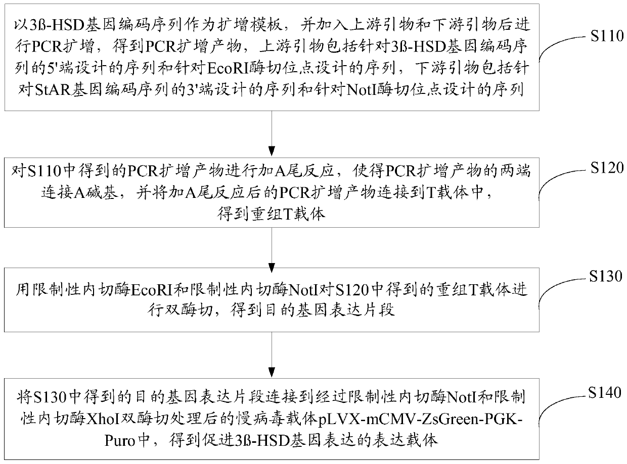 Expression vector promoting expression of 3β-hsd gene and its construction method and application