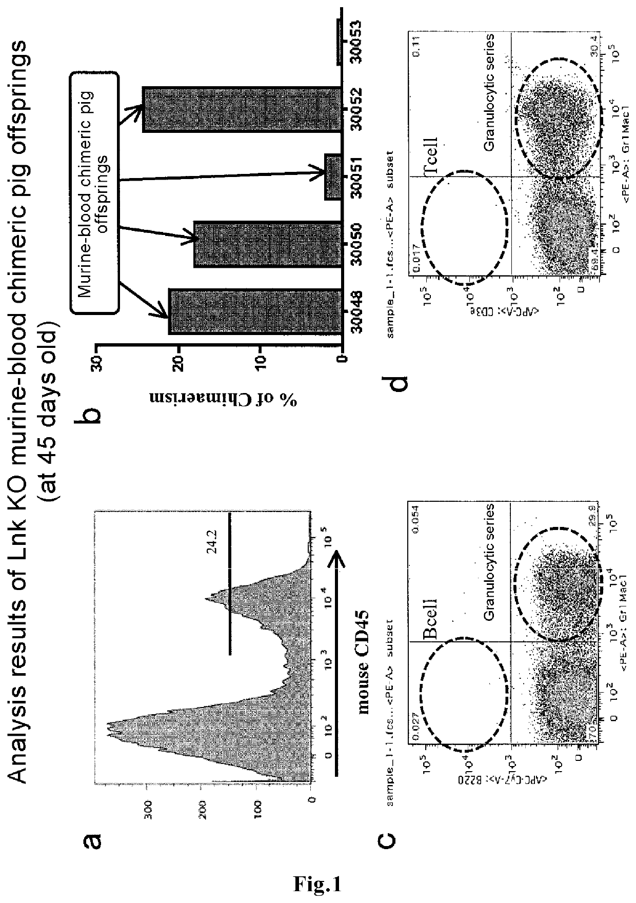 Method for producing blood chimeric animal