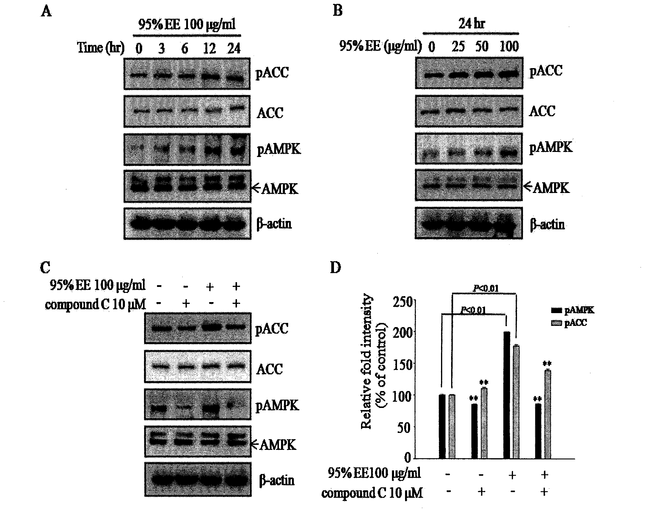 Artemisia sacrorum extract as well as preparation method and application thereof